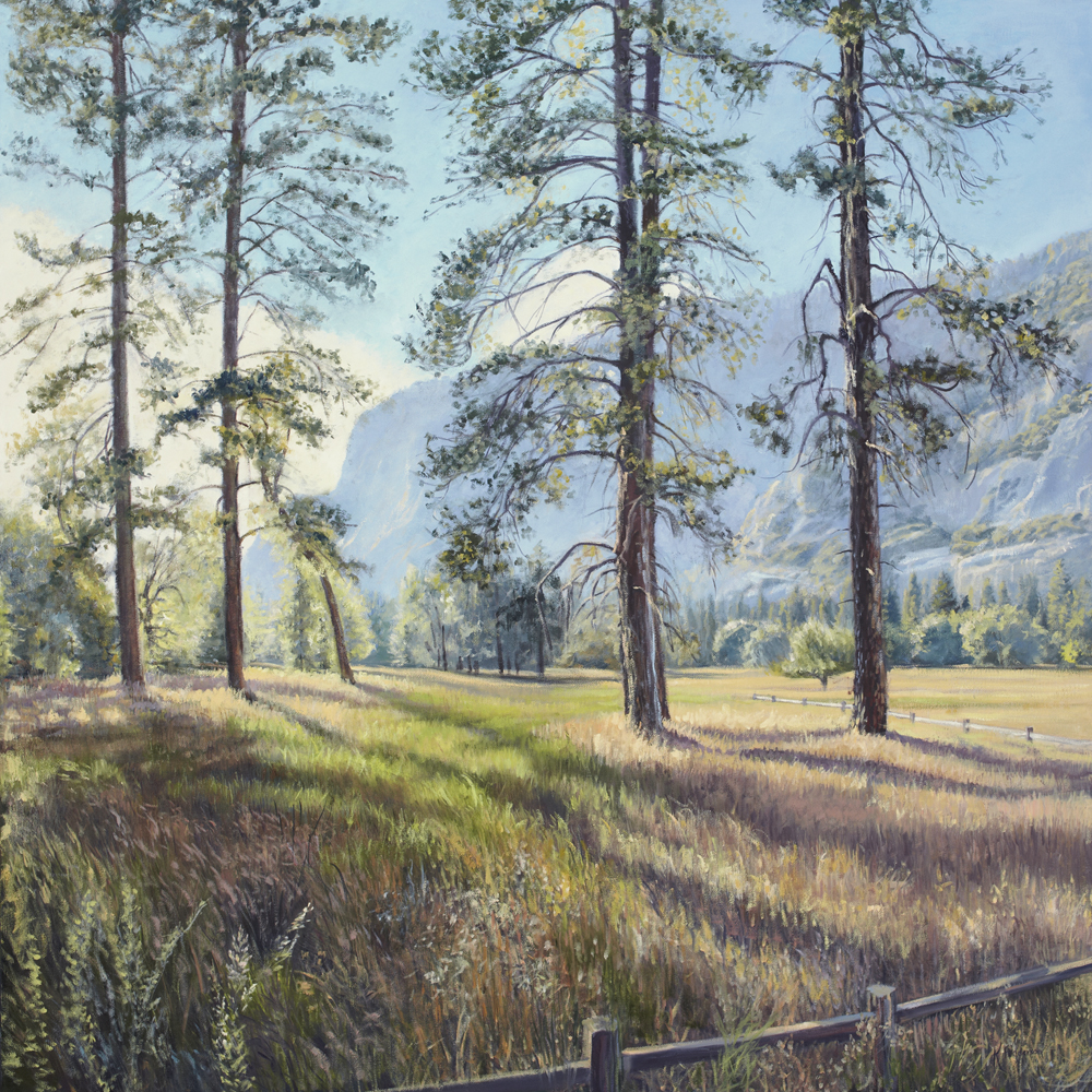 northern california landscape