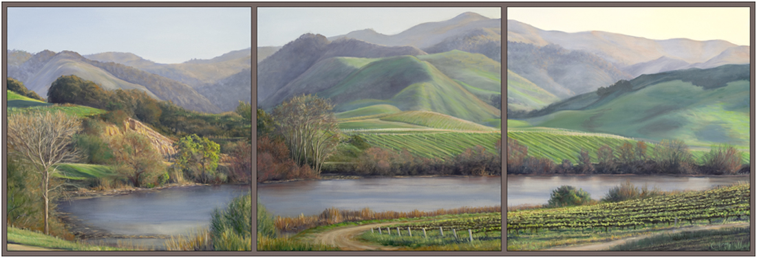 santa maria vineyard landscape California