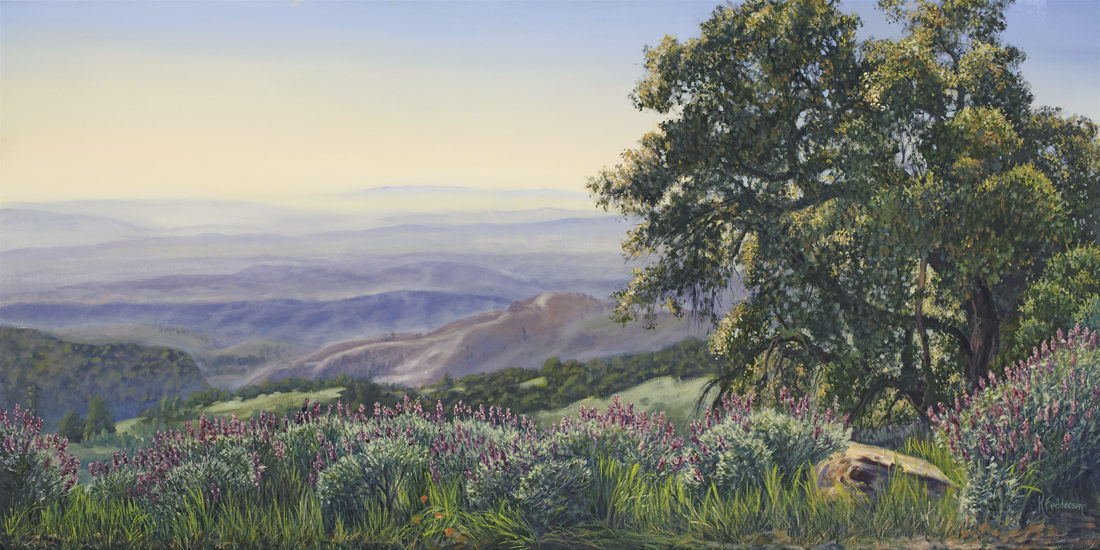 Figeroa Mountain View of Santa Ynez throuh Oaks and Lupine