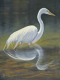 Egret at sweet springs moro bay
