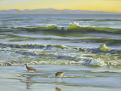 Butterfly Beach Santa Barebara